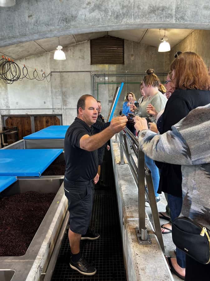 Nelson: Wine Tour with Tastings and Lunch - A proper vineyard lunch after the morning tastings