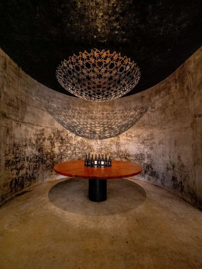 Nelson: Wine Tour with Tastings and Lunch - Who should book this day?