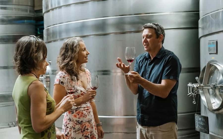 Nelson: Wine Tour with Tastings and Lunch - Moutere, Waimea, and Coastal Tasman in one day