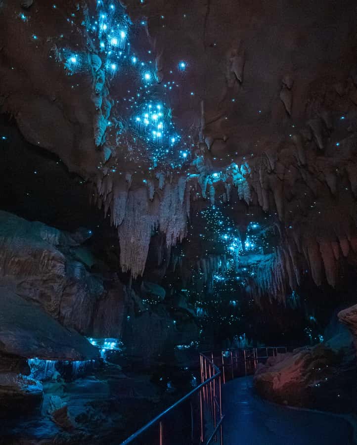 New Zealand: Milky Way Glowworm Cave Tour - Why the secret history adds to the visit