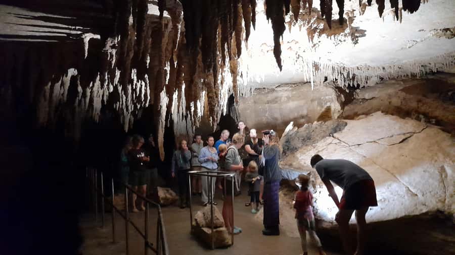 New Zealand: Milky Way Glowworm Cave Tour - Getting the timing and clothing right