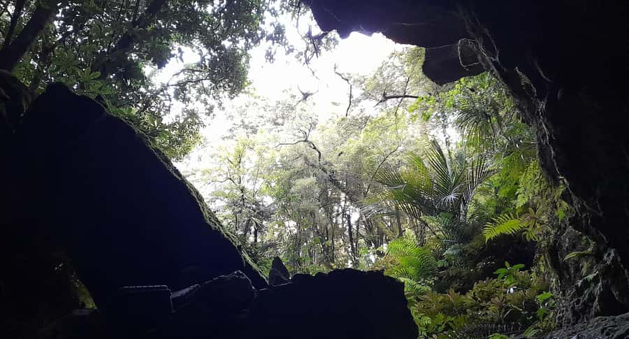 New Zealand: Milky Way Glowworm Cave Tour - The main strengths, and the one real weakness