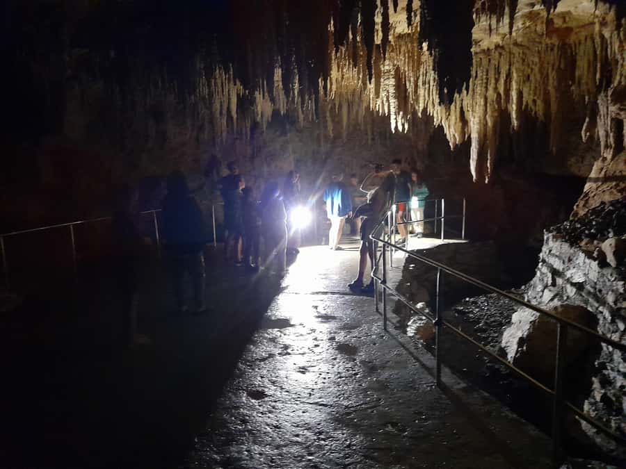 New Zealand: Milky Way Glowworm Cave Tour - Should you book the Milky Way Glowworm Cave Tour?