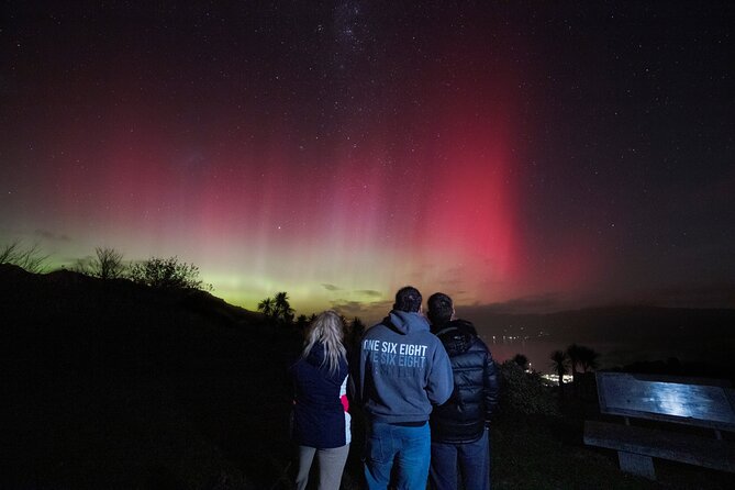 Night Awe - Stargazing tour in Akaroa - Starting under Akaroa’s dark sky