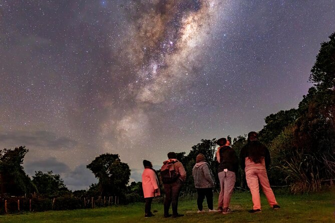 Nocturnal Wonders Tawharanui Kiwi Spotting and Stargazing Tour - The glamping option and what it does not include