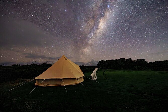 Nocturnal Wonders Tawharanui Kiwi Spotting and Stargazing Tour - Practical value at $93.09