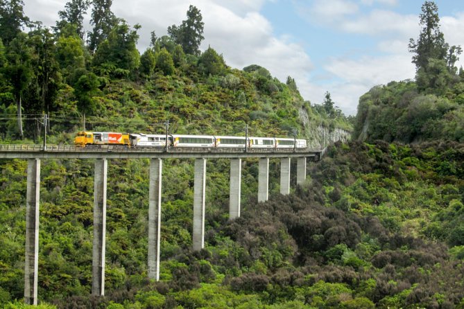 Northern Explorer Train Journey from Auckland to Wellington - Why this train journey earns a place in your itinerary