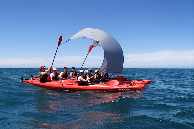 Oarsome Marine Reserve Kayak Tour - Starting at Marahau at 8:30 a.m.