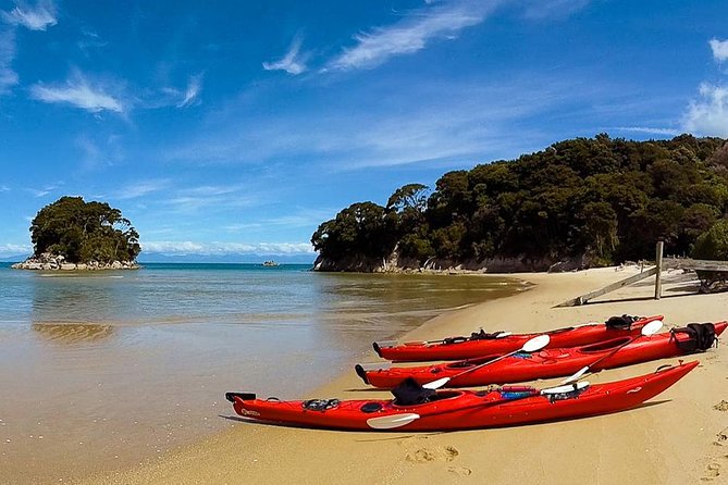 Oarsome Marine Reserve Kayak Tour - Anchorage Beach and the water taxi home