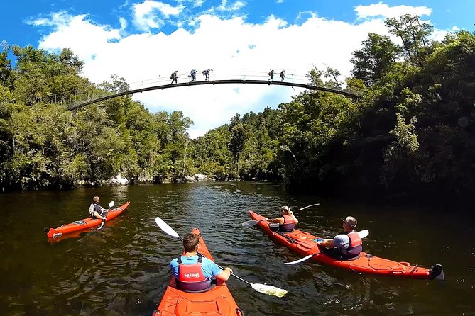Oarsome Marine Reserve Kayak Tour - Booking, cancellation, and practical timing