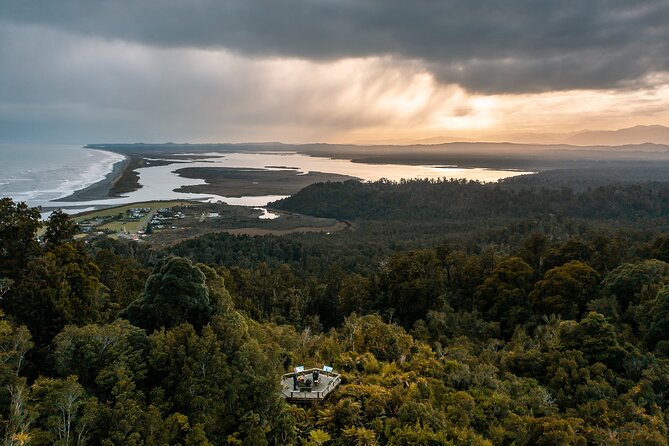 Okarito Nature Tour - Who will get the most from this outing