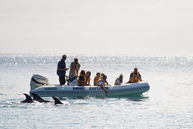 One Hour Cathedral Cove Boat Tour in Hahei - Key points at a glance