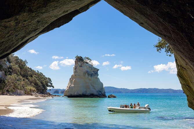 One Hour Cathedral Cove Boat Tour in Hahei - Why this boat trip adds more than a visit to Cathedral Cove