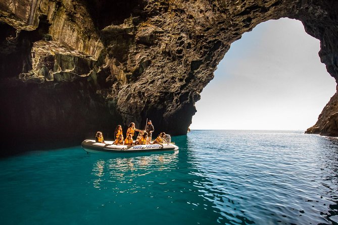 One Hour Cathedral Cove Boat Tour in Hahei - Islands, marine reserve waters, and wildlife