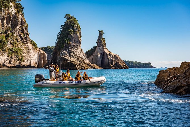 One Hour Cathedral Cove Boat Tour in Hahei - Price and the value of the route