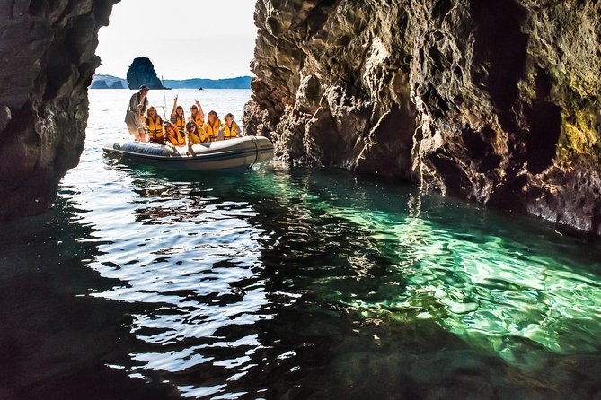 One Hour Cathedral Cove Boat Tour in Hahei - Timing, weather, and what to bring
