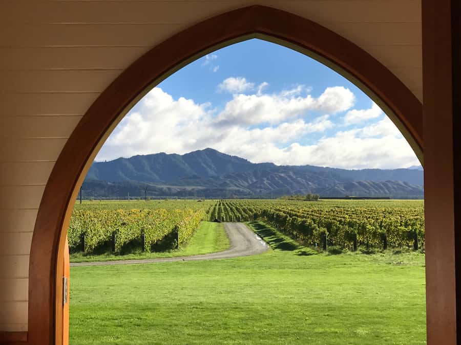 Onshore Highlights of Marlborough's Wine Region from Picton - Is the $176 price good value?