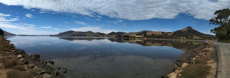 Otago Peninsula Scenery & Little Blue Penguin tour - Key points at a glance