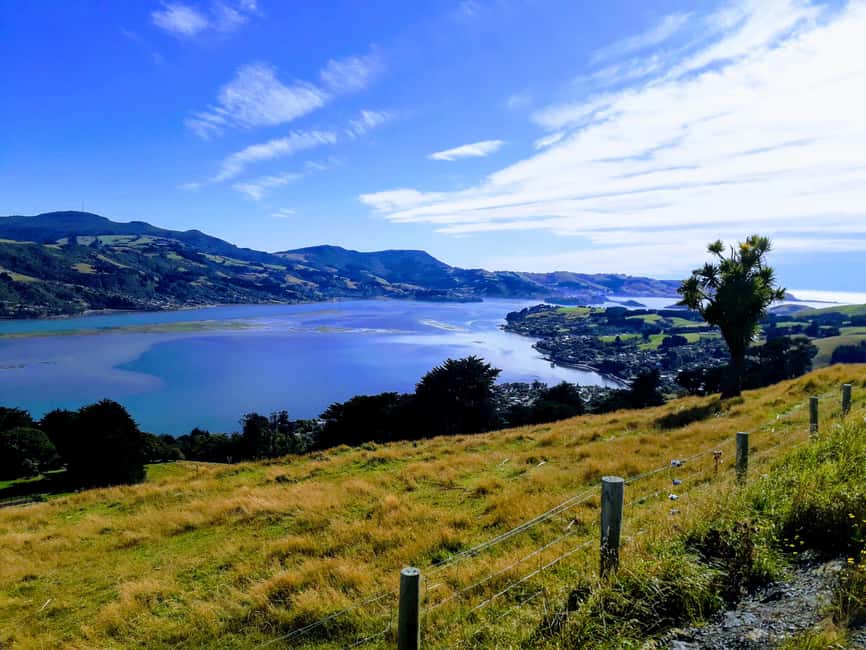 Otago Peninsula Scenery & Little Blue Penguin tour - Highcliff Road gives the tour its wider view