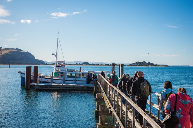 Otago Peninsula Wildlife Cruise with Monarch - Why Taiaroa Head is the real draw