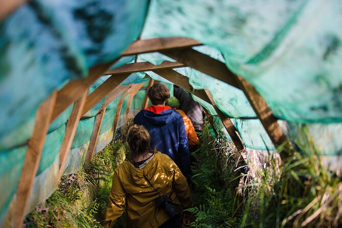 Otago Peninsula Wildlife Tour & Cruise - Key points to know before booking