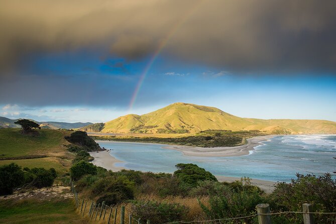 Otago Peninsula Wildlife Tour & Cruise - What you may see in one afternoon