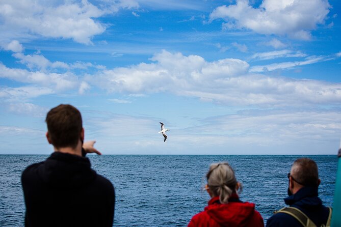 Otago Peninsula Wildlife Tour & Cruise - Is $142.73 a fair price?