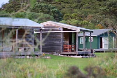 Overnight Experience Tour on Kapiti Island