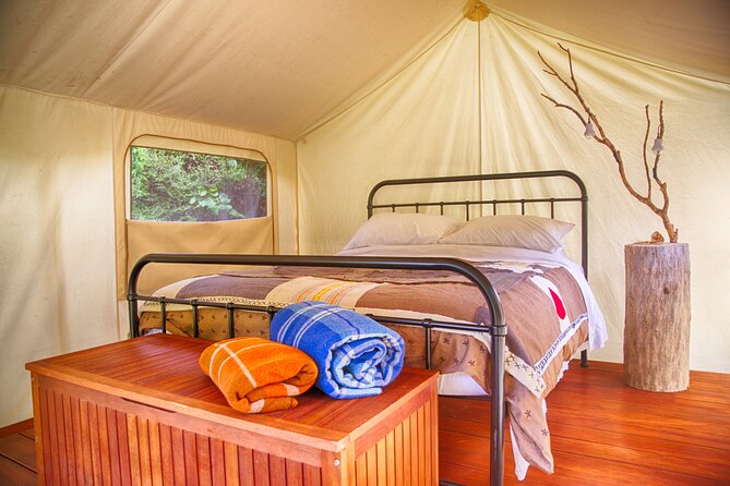 Overnight Experience Tour on Kapiti Island - What the $415.16 price really covers