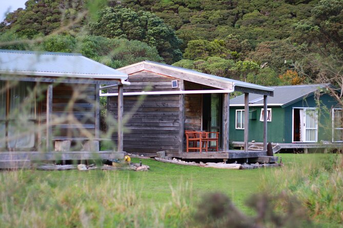 Overnight Experience Tour on Kapiti Island - Day one: packed lunch, a local introduction, and forest walking