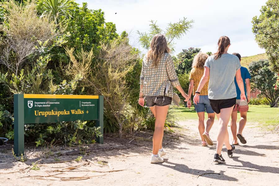 Paihia: Bay of Islands Dolphin Eco Cruise & Island Stopover - FAQ