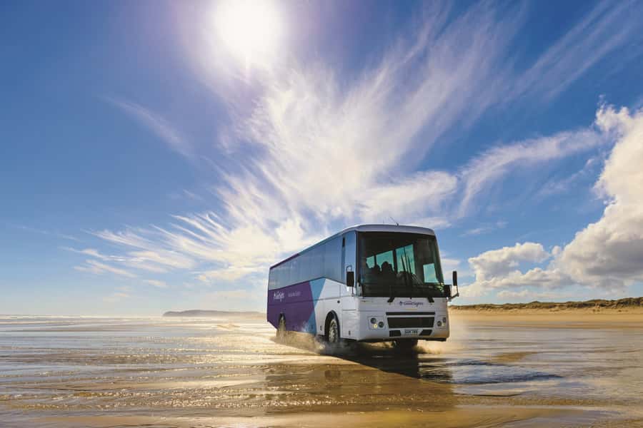 Paihia: Cape Reinga and Ninety Mile Beach Trip with Lunch - Key points to know before you book