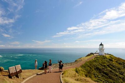 Cape Reinga and Ninety Mile Beach Trip with Lunch