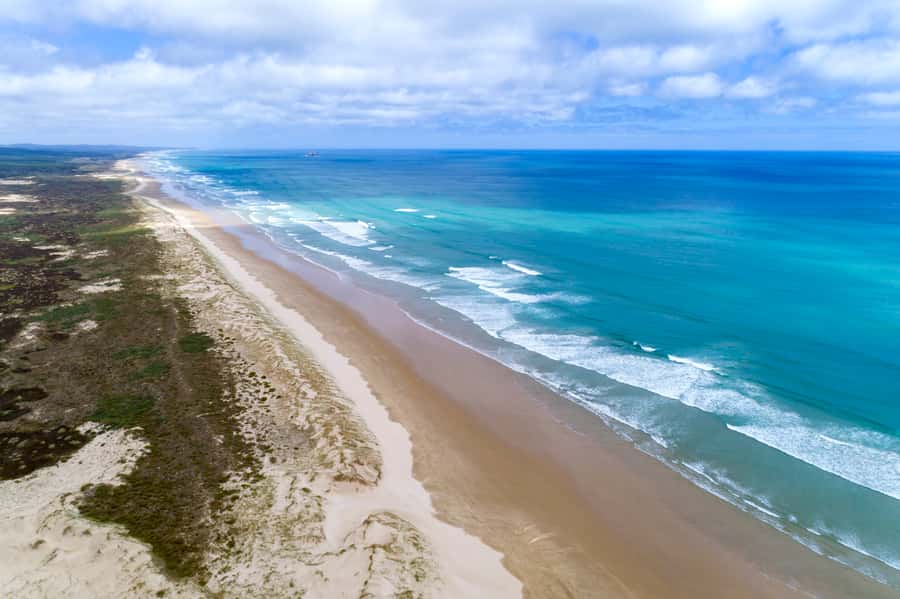 Paihia: Cape Reinga and Ninety Mile Beach Trip with Lunch - Sandboarding for a quick hit of fun