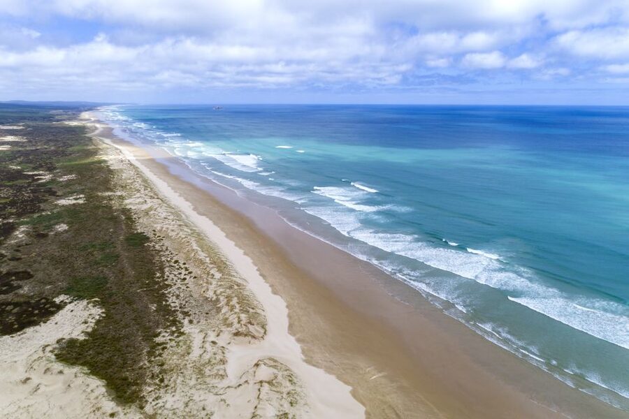 Paihia: Cape Reinga and Ninety Mile Beach Trip with Lunch - Who should book this Northland day trip