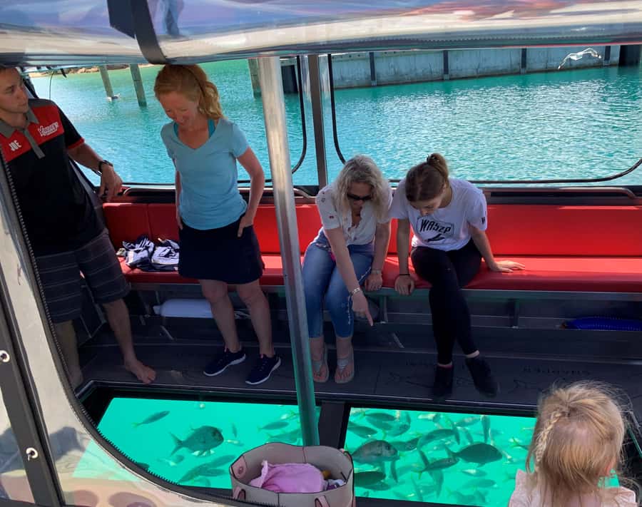 Paihia: Glass Bottom Boat Tour to the Hole in the Rock - Why the Hole in the Rock is the main event