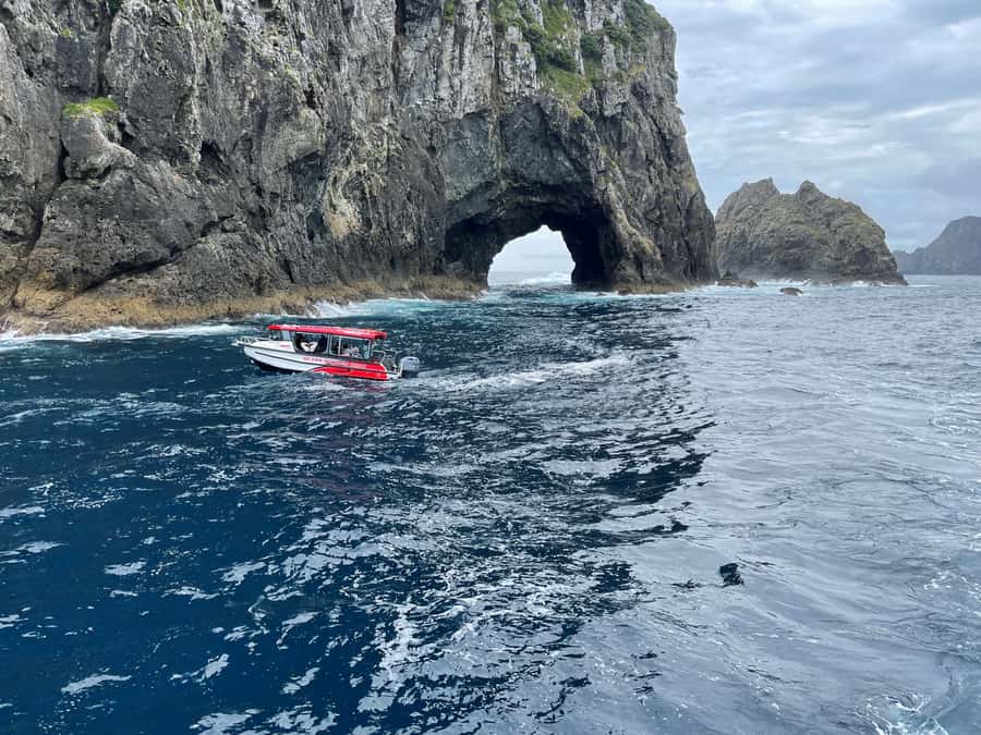 Paihia: Glass Bottom Boat Tour to the Hole in the Rock - Weather, sea conditions, and comfort
