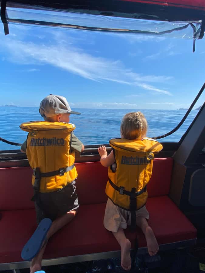 Paihia: Glass Bottom Boat Tour to the Hole in the Rock - Is $74 good value for 2.5 hours?