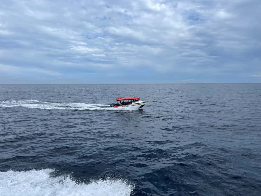 Paihia: Glass Bottom Boat Tour to the Hole in the Rock - Who will enjoy this Bay of Islands boat trip?