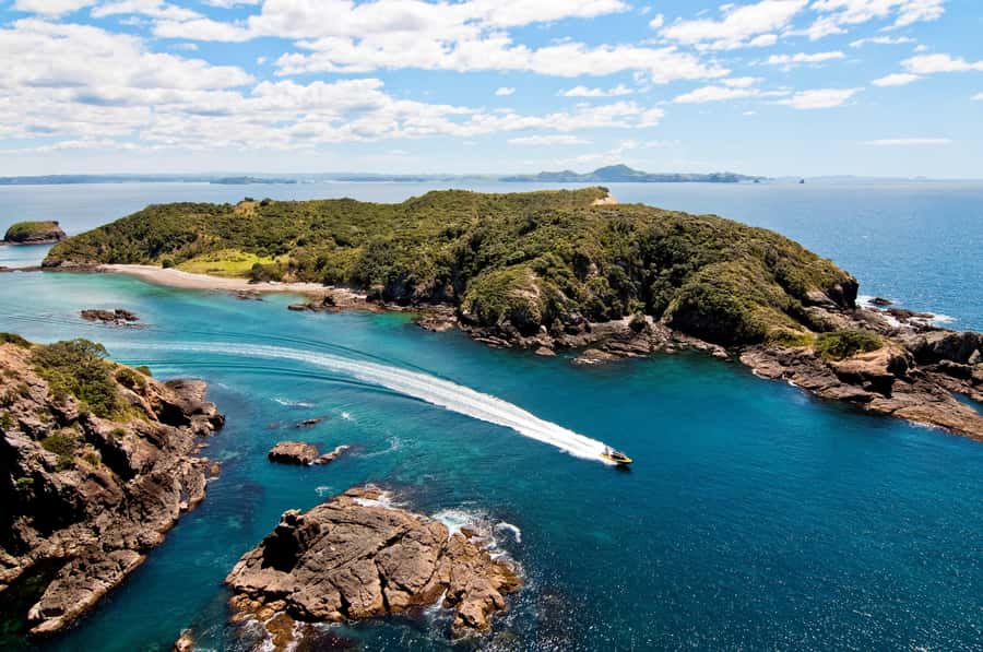 Paihia: Hole in the Rock Fast Boat Ocean Adventure - Why this 90-minute boat trip works so well