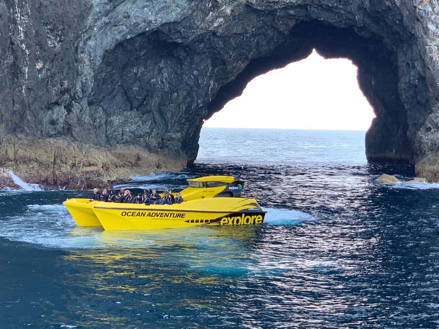 Paihia: Hole in the Rock Fast Boat Ocean Adventure - Leaving Paihia and reaching open water