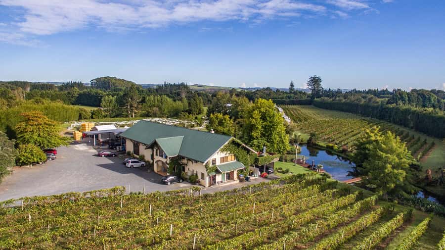 Paihia or Kerikeri: Wine, Spirit, & Craft Beer Tour - A four-hour tasting tour with real variety