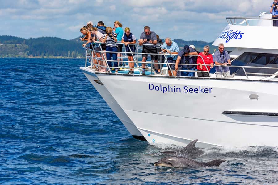 Paihia/Russell: Hole in the Rock and Bay of Islands Cruise - Key points at a glance