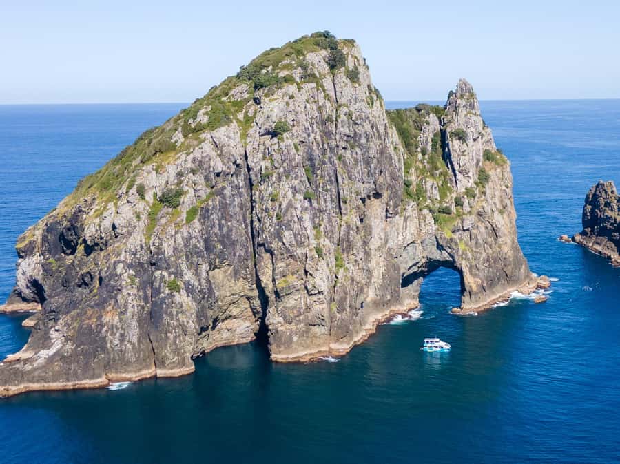 Paihia/Russell: Hole in the Rock Cruise with 2 Island Stops - Key points to know before you book
