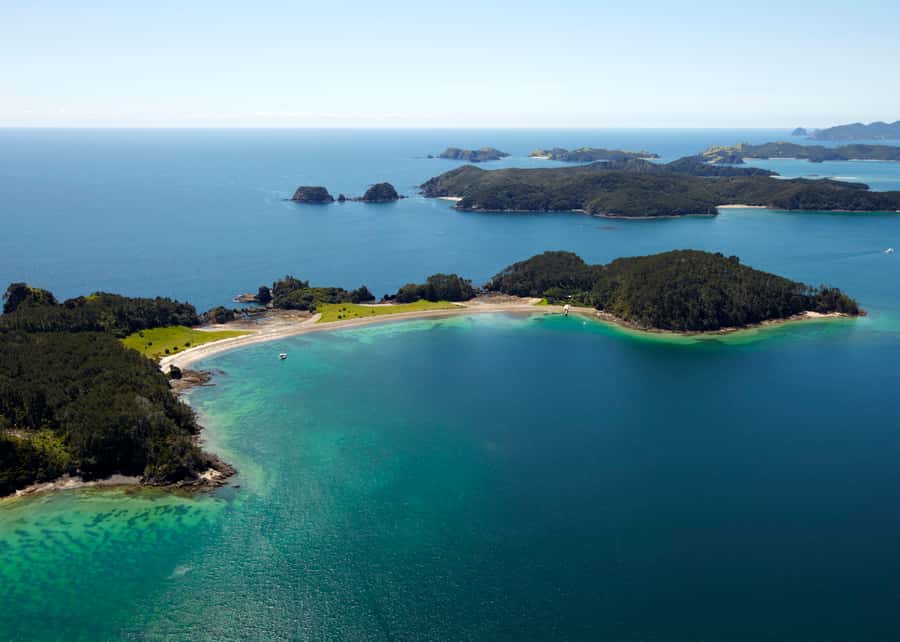 Paihia/Russell: Hole in the Rock Cruise with 2 Island Stops - What the guiding adds to the day