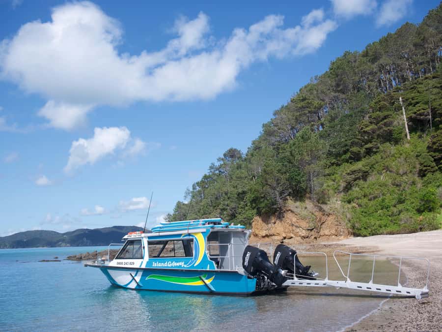 Paihia/Russell: Hole in the Rock Cruise with 2 Island Stops - Cape Brett, lighthouse views, and the outer coast