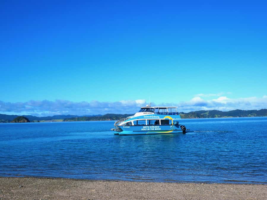 Paihia/Russell: Hole in the Rock Cruise with 2 Island Stops - Wildlife watching is an extra, not a promise