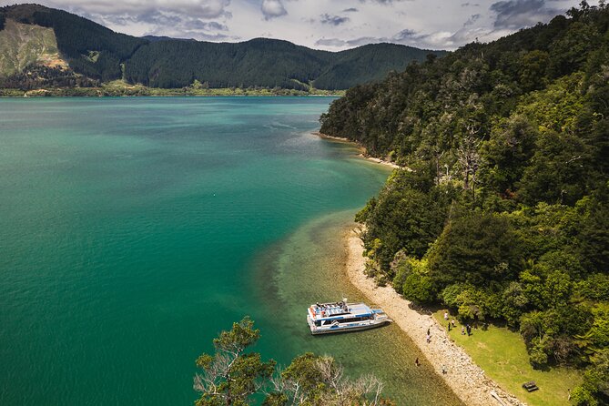 Pelorus Mail Boat Sunday Scenic Cruise – Full-Day from Havelock - Why this Sunday cruise feels different
