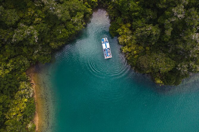 Pelorus Mail Boat Sunday Scenic Cruise – Full-Day from Havelock - Hopai Bay Farm and the Sounds Garden