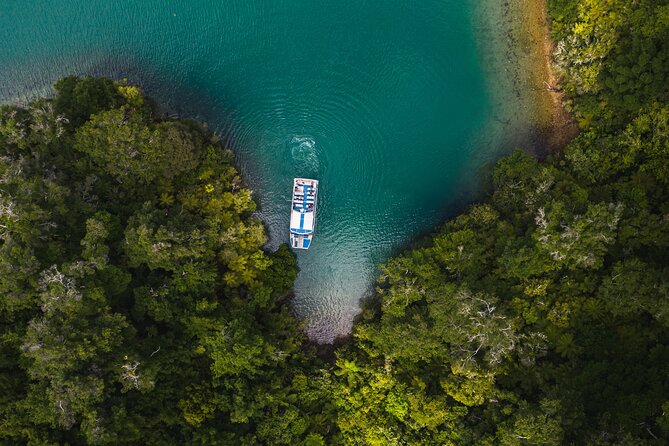 Pelorus Mail Boat Sunday Scenic Cruise – Full-Day from Havelock - Is $86.88 good value?